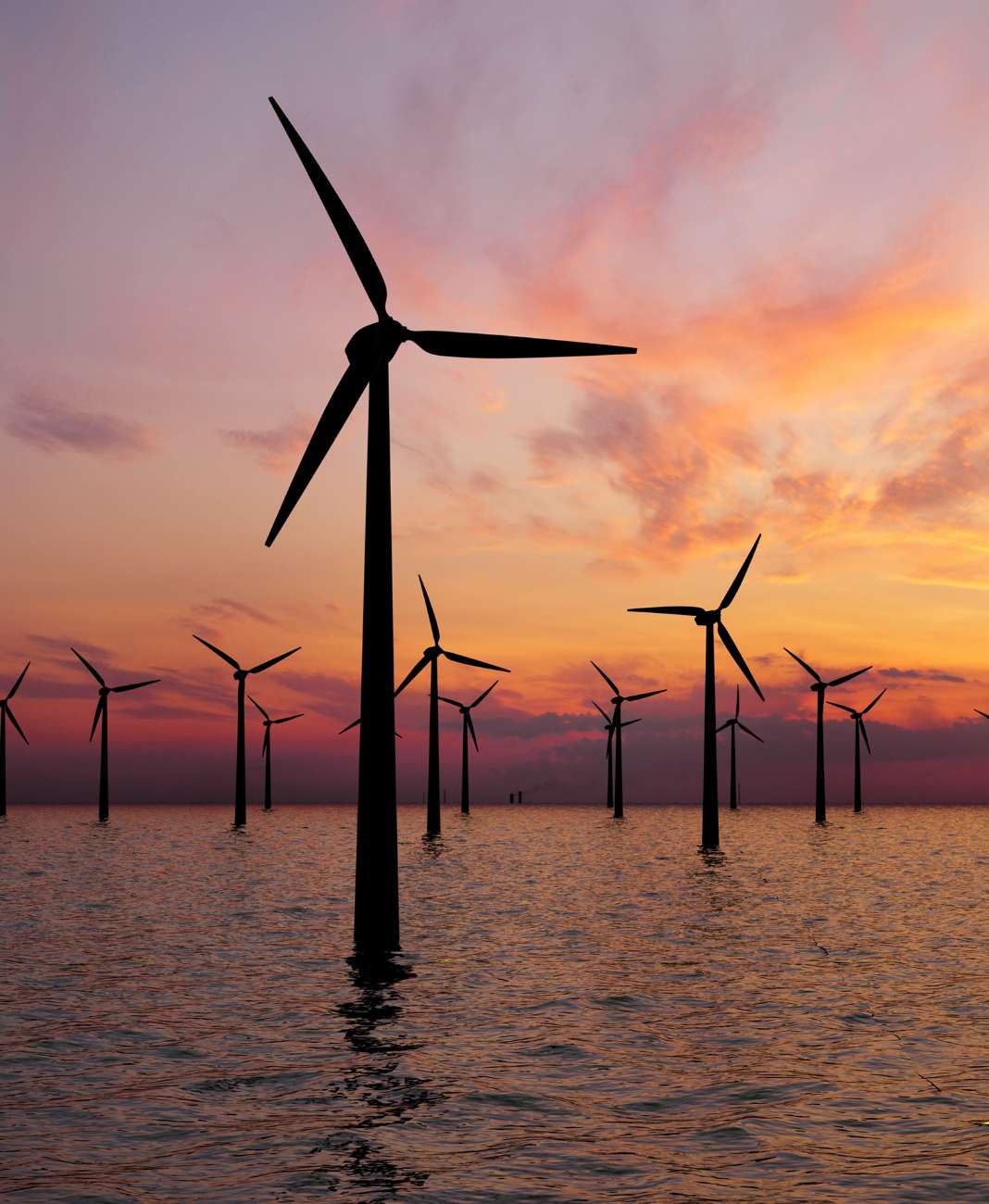 wind farm at sea